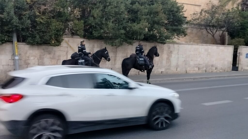 מאבק סוסים ברחוב עזה